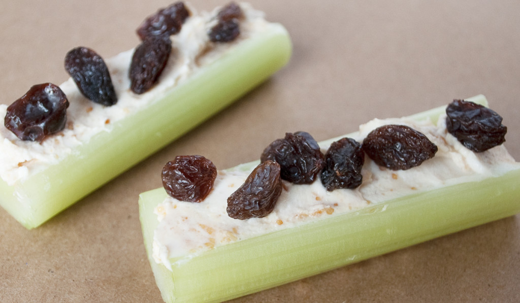 siggi's Icelandic-style yogurt: skyr - Ants on a Log
