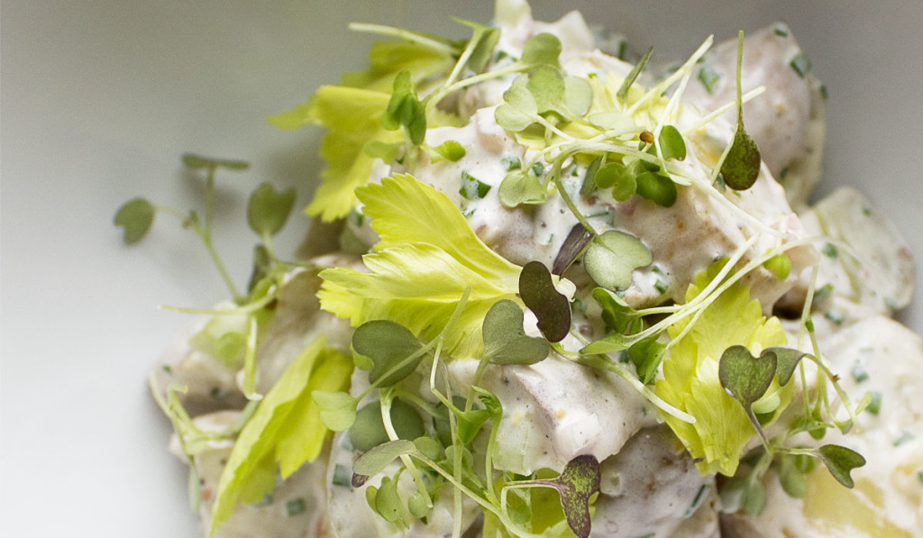 siggi's Icelandic-style yogurt: skyr - Simple Potato Salad